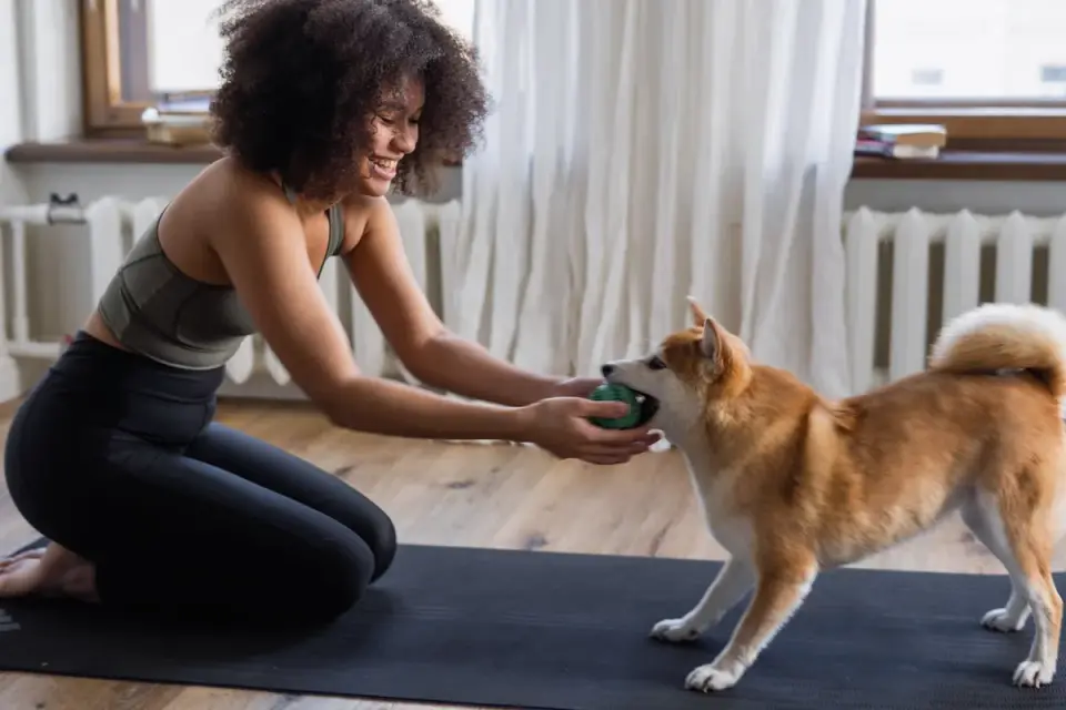 Owner luring a dog onto a training mat with a treat