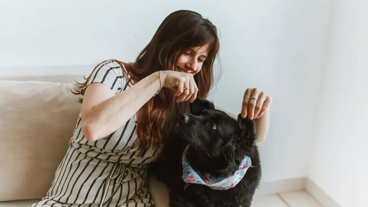 Owner petting a dog