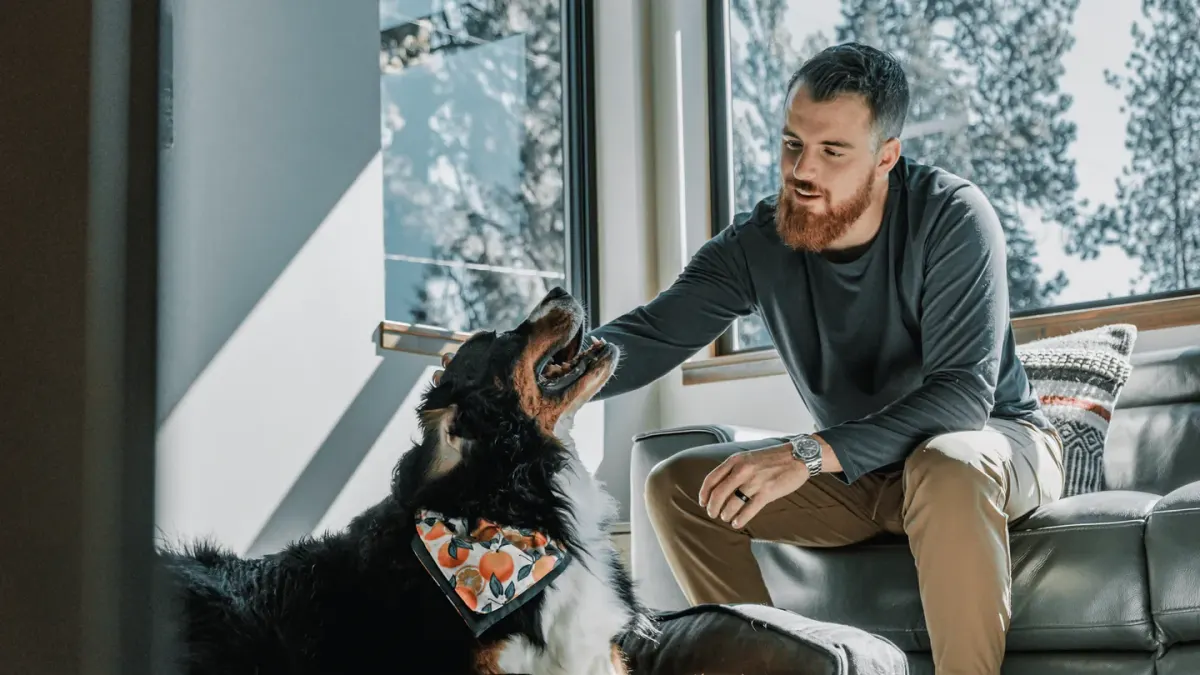 Owner petting a dog