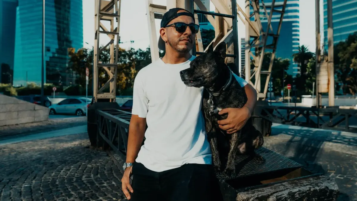 Owner petting a dog