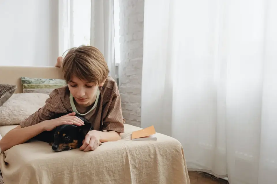 Owner petting a dog