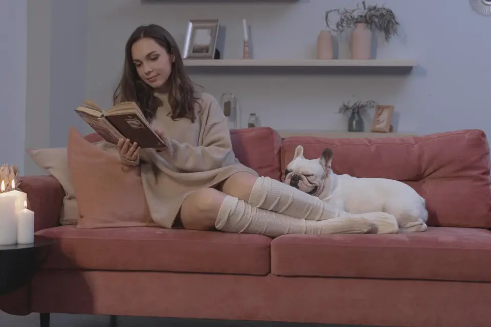 Owner petting a dog