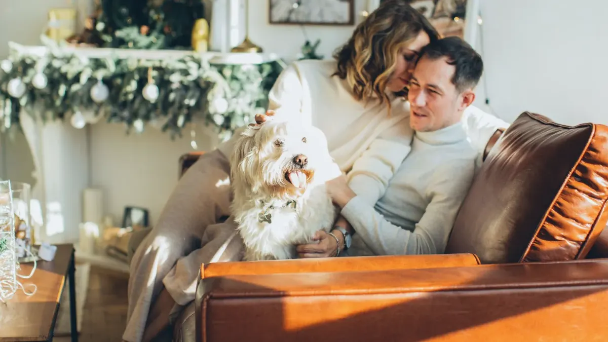 Owner petting a dog