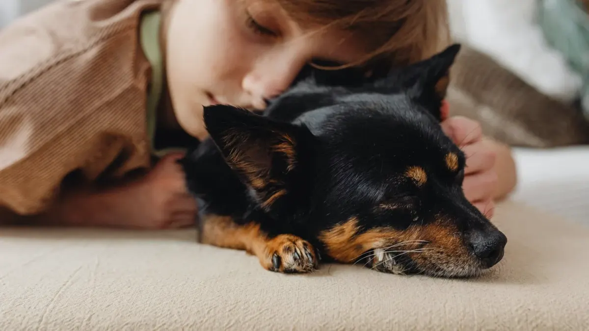 Owner petting a dog