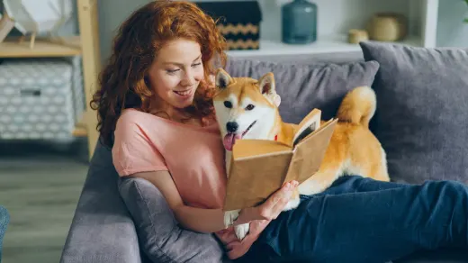 Owner petting dog on sofa