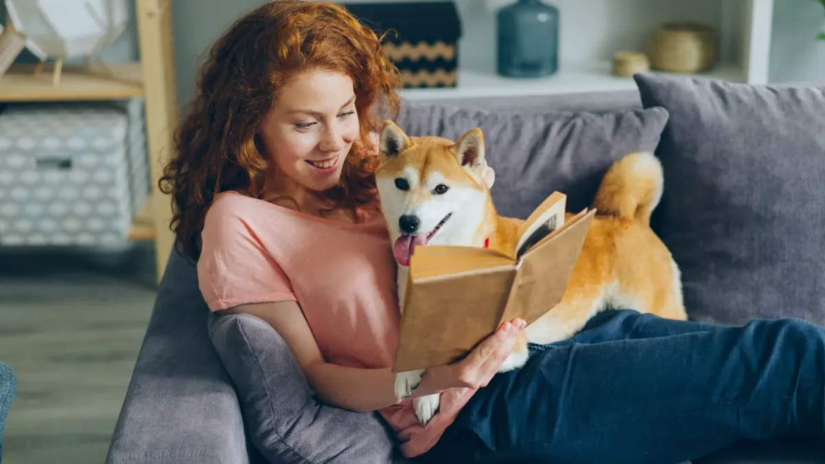 Owner petting dog on sofa