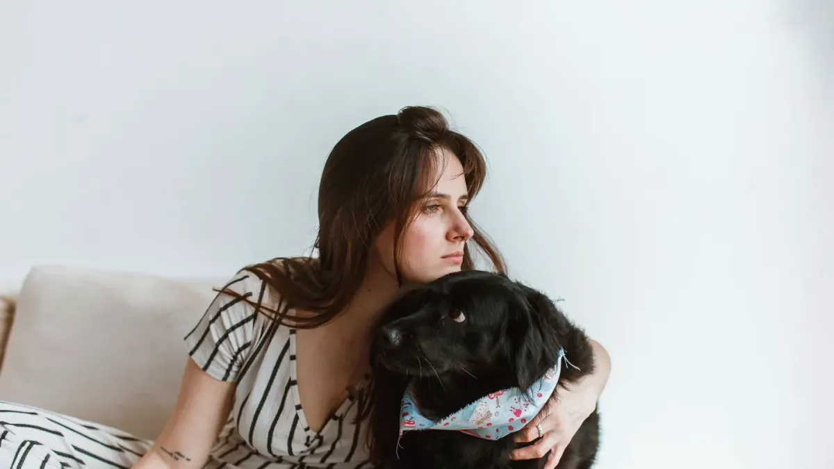 Owner petting dog on sofa