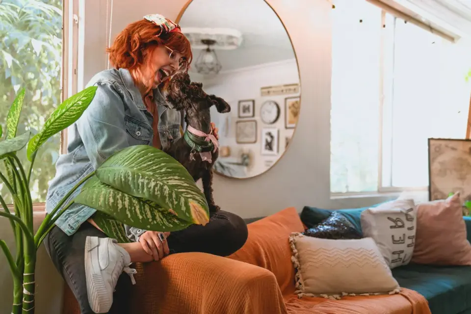 Owner petting dog on sofa