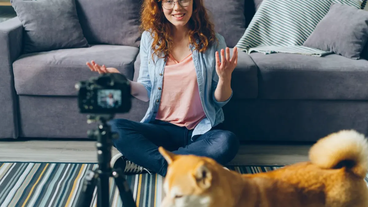 Owner petting dog on sofa