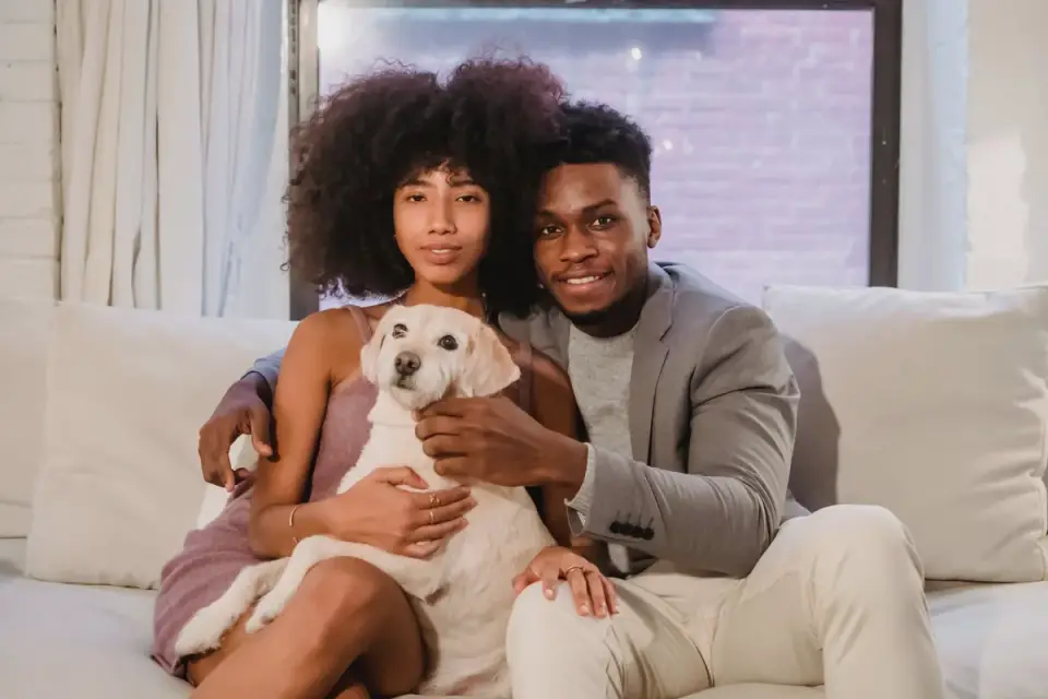 Owner petting dog on sofa