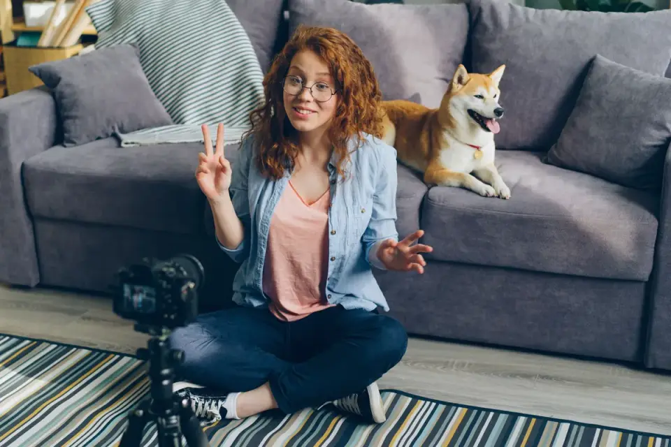 Owner petting dog on sofa