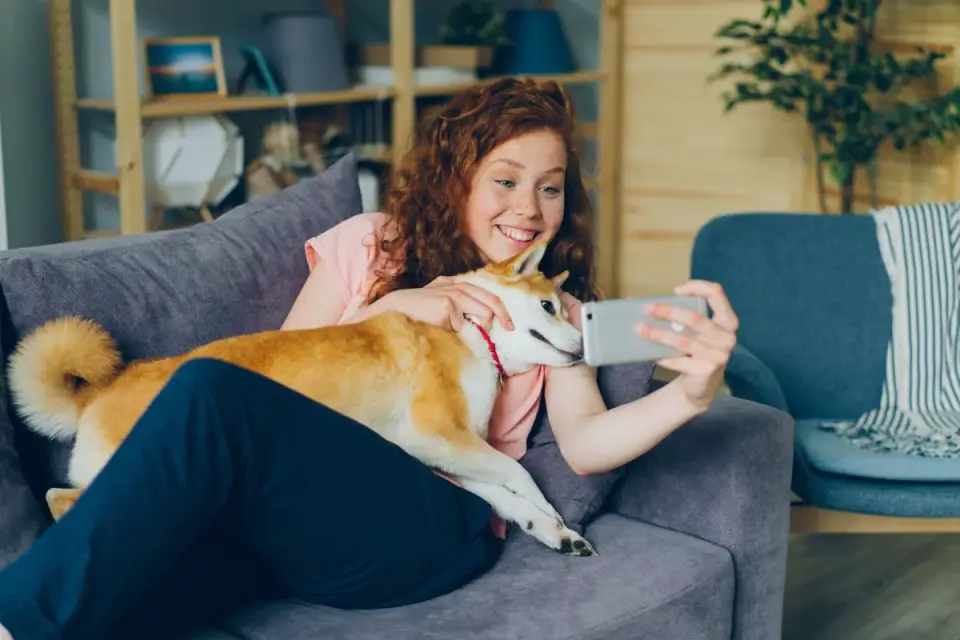 Owner petting dog on sofa