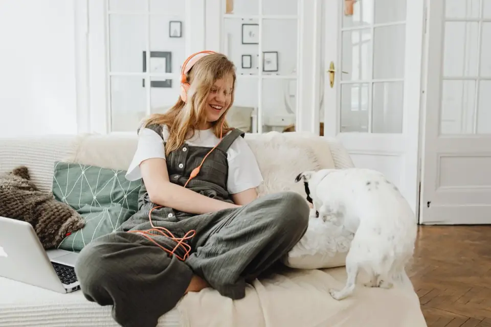 Owner petting dog on sofa