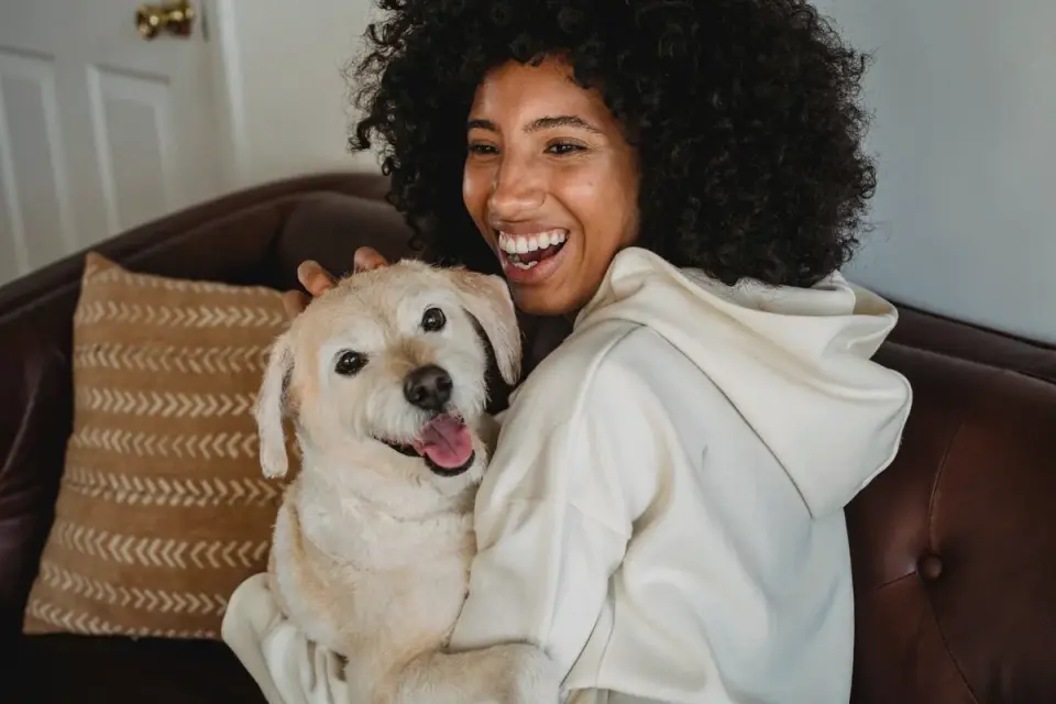 Owner petting dog on sofa