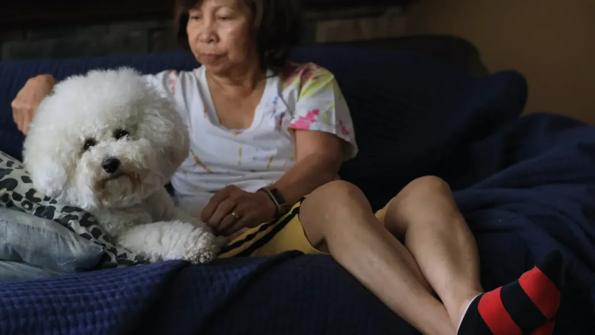Owner petting dog on sofa