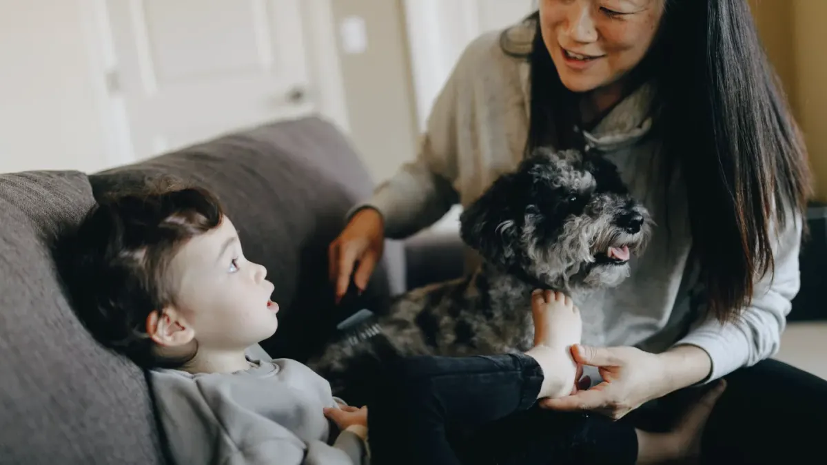 Owner petting dog on sofa