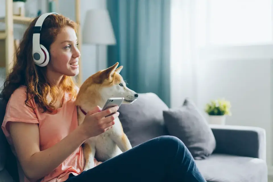 Owner petting dog on sofa