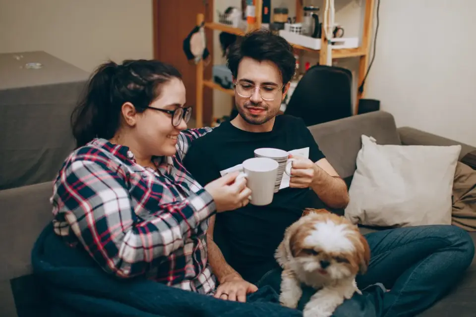 Owner petting dog on sofa
