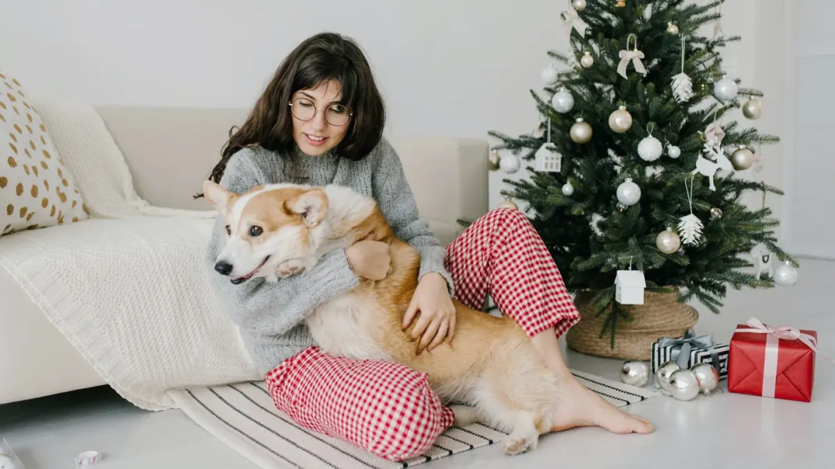 Owner petting dog on sofa