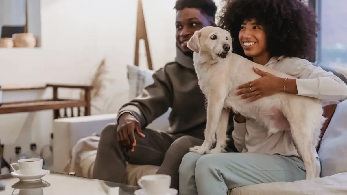 Owner petting dog on sofa