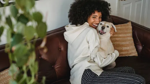 Owner petting dog on sofa