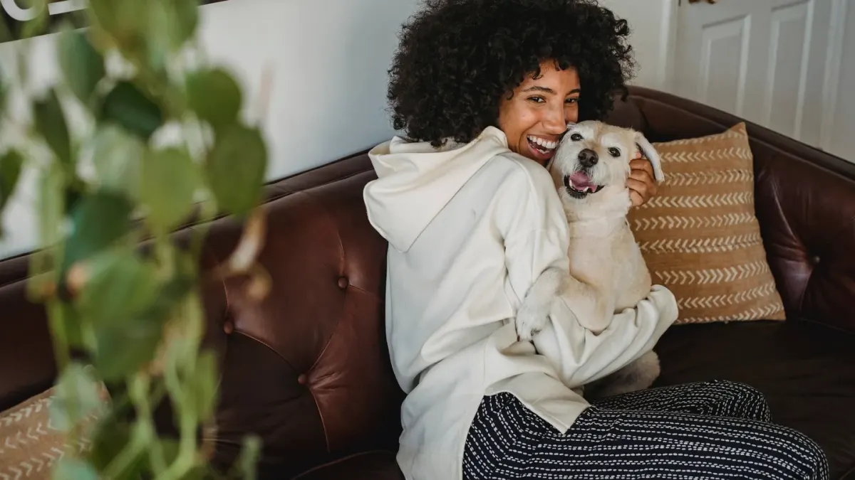 Owner petting dog on sofa